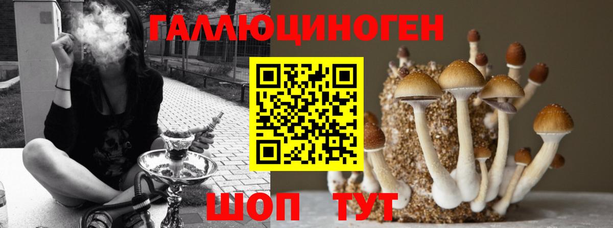 Галлюциногенные грибы ЛСД  Галлюциногенные грибы ЛСД  Вход с VPN  Белово 